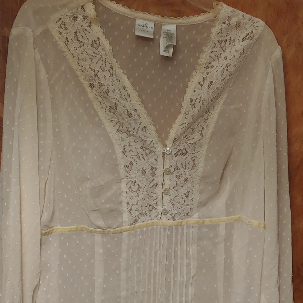 Beautiful Sheer Emma James blouse as 20W